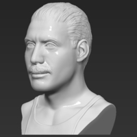 Freddie Mercury bust 3D printing ready stl obj formats - Thumbnail 3
