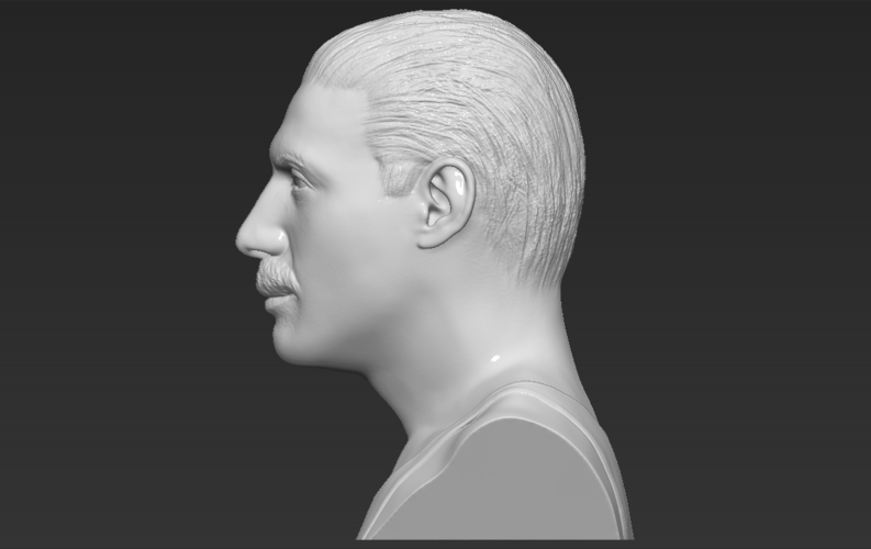 Freddie Mercury bust 3D printing ready stl obj formats 3D Print 272900