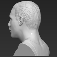 Freddie Mercury bust 3D printing ready stl obj formats - Thumbnail 5