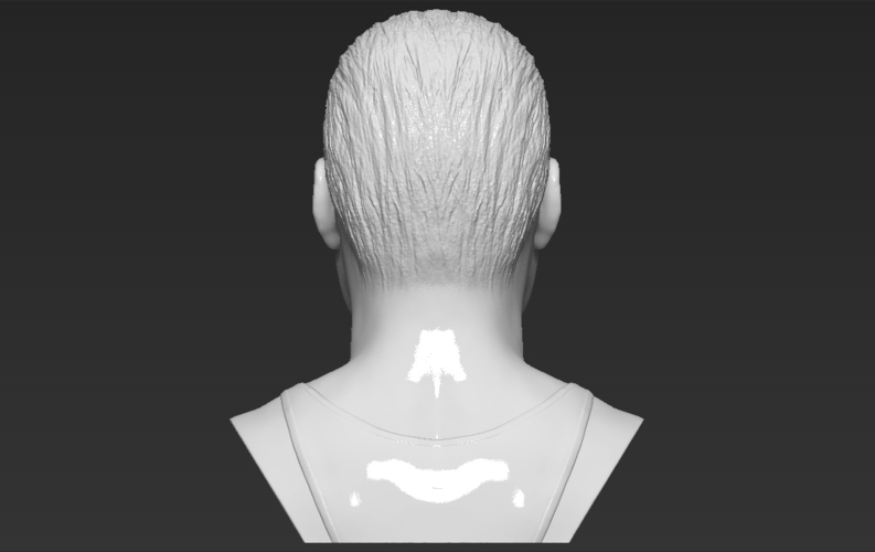 Freddie Mercury bust 3D printing ready stl obj formats 3D Print 272902