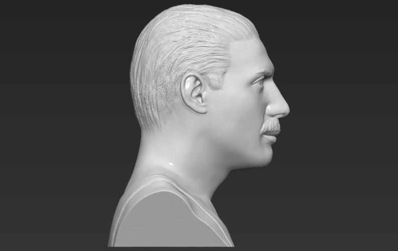 Freddie Mercury bust 3D printing ready stl obj formats 3D Print 272904