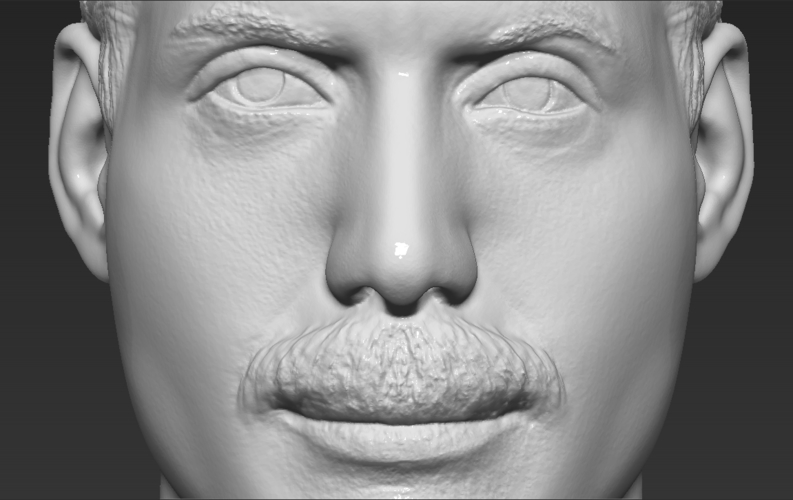 Freddie Mercury bust 3D printing ready stl obj formats 3D Print 272909