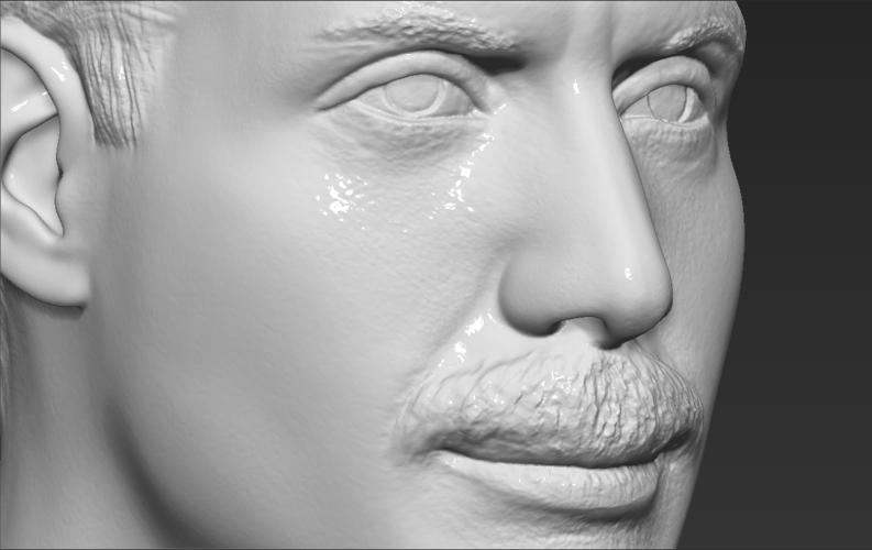 Freddie Mercury bust 3D printing ready stl obj formats 3D Print 272910