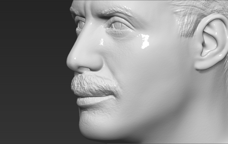 Freddie Mercury bust 3D printing ready stl obj formats 3D Print 272911