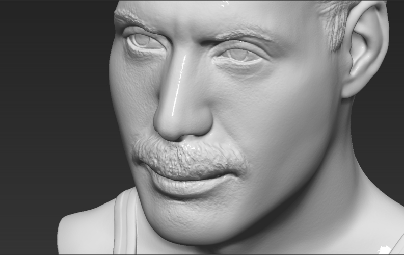 Freddie Mercury bust 3D printing ready stl obj formats 3D Print 272912