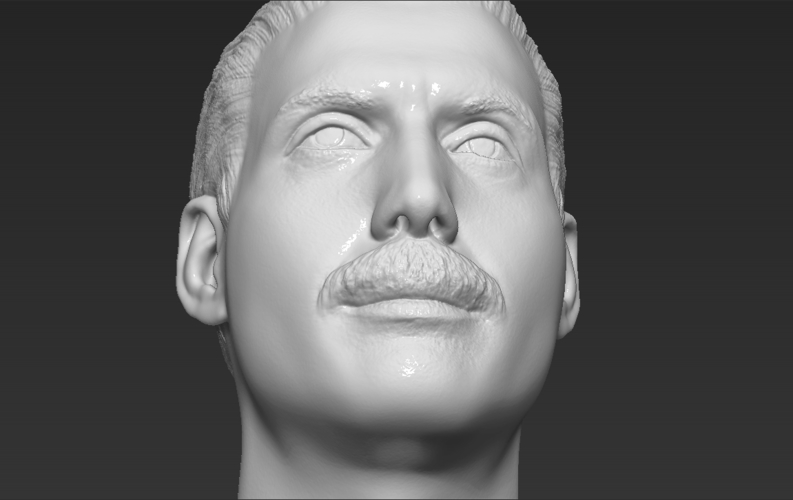 Freddie Mercury bust 3D printing ready stl obj formats 3D Print 272913