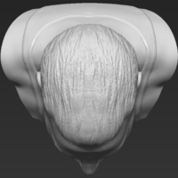 Freddie Mercury bust 3D printing ready stl obj formats - Thumbnail 20