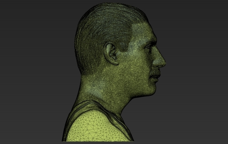 Freddie Mercury bust 3D printing ready stl obj formats 3D Print 272918