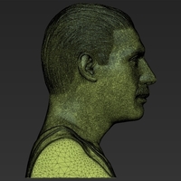 Freddie Mercury bust 3D printing ready stl obj formats - Thumbnail 22