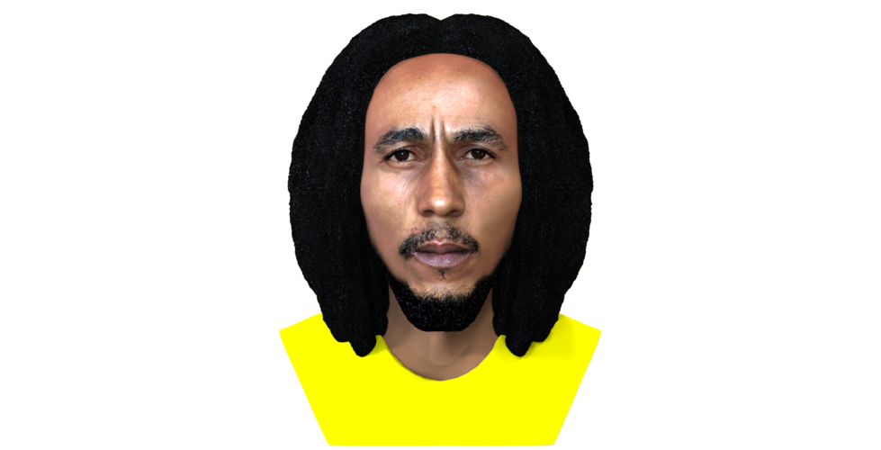 Bob Marley bust ready for full color 3D printing 3D Print 273094