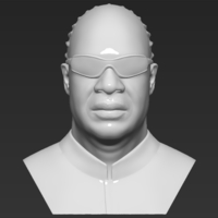 Small Stevie Wonder bust 3D printing ready stl obj formats 3D Printing 273131