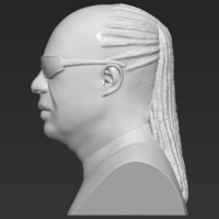 Stevie Wonder bust 3D printing ready stl obj formats - Thumbnail 4
