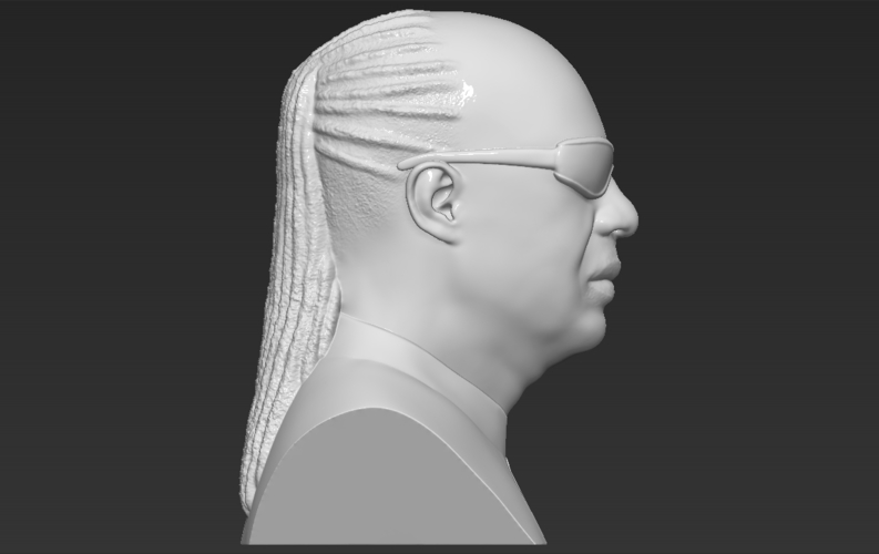 Stevie Wonder bust 3D printing ready stl obj formats 3D Print 273138