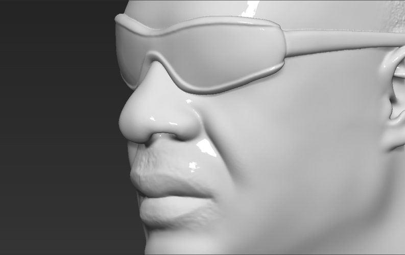 Stevie Wonder bust 3D printing ready stl obj formats 3D Print 273144