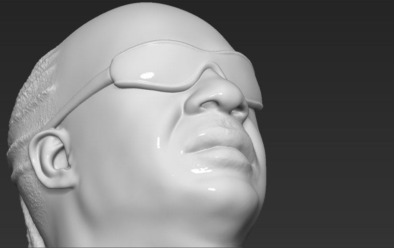 Stevie Wonder bust 3D printing ready stl obj formats 3D Print 273147