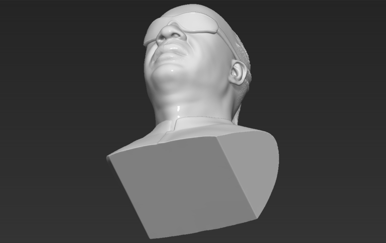 Stevie Wonder bust 3D printing ready stl obj formats 3D Print 273149
