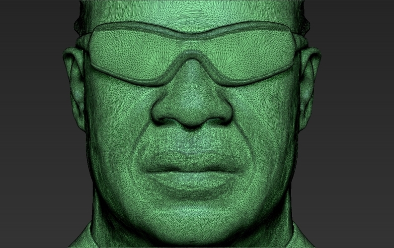 Stevie Wonder bust 3D printing ready stl obj formats 3D Print 273150