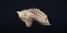 Image 273303