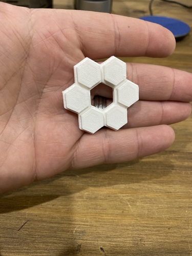 COASTER 3D Print 273362