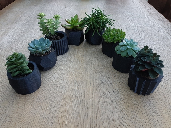 Succulent Plant Pots 3D Print 273421