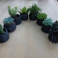 Small Succulent Plant Pots 3D Printing 273421