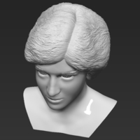 Princess Diana bust 3D printing ready stl obj formats - Thumbnail 14