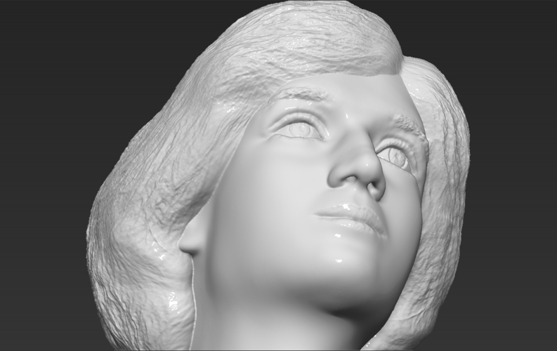 Princess Diana bust 3D printing ready stl obj formats 3D Print 273437