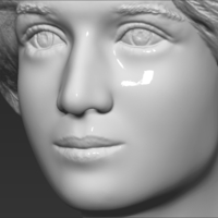 Princess Diana bust 3D printing ready stl obj formats - Thumbnail 18