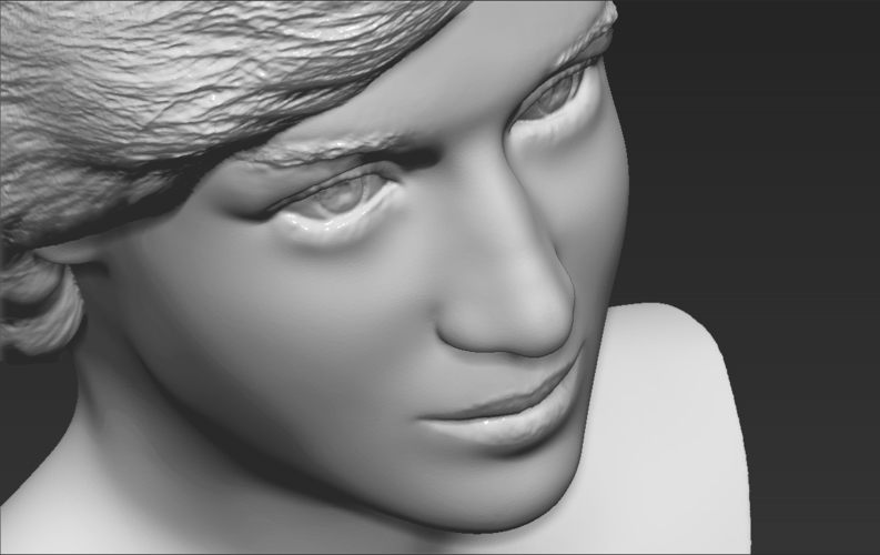 Princess Diana bust 3D printing ready stl obj formats 3D Print 273442
