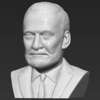 Buzz Aldrin bust 3D printing ready stl obj formats - Thumbnail 2