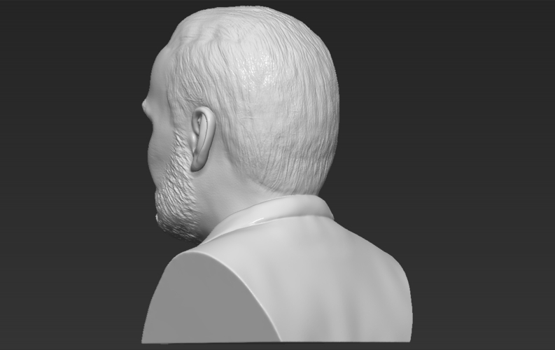 Buzz Aldrin bust 3D printing ready stl obj formats 3D Print 273451