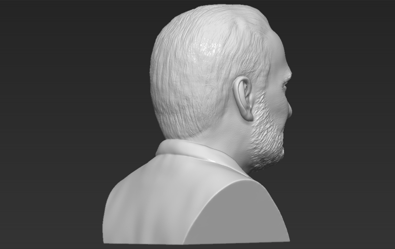 Buzz Aldrin bust 3D printing ready stl obj formats 3D Print 273453