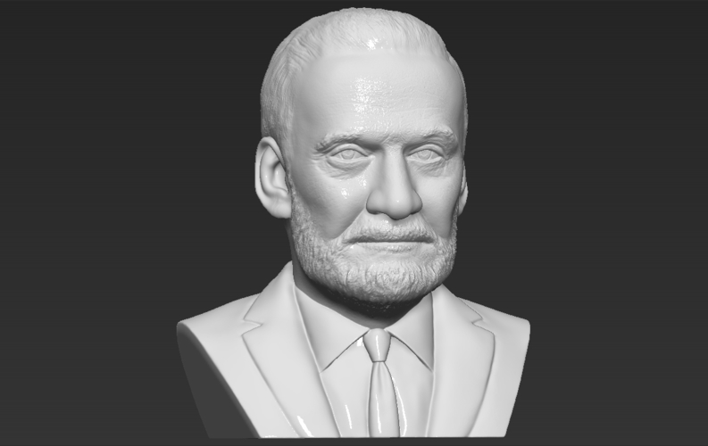 Buzz Aldrin bust 3D printing ready stl obj formats 3D Print 273456