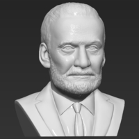 Buzz Aldrin bust 3D printing ready stl obj formats - Thumbnail 10