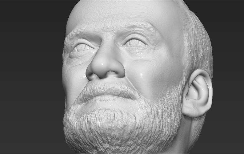 Buzz Aldrin bust 3D printing ready stl obj formats 3D Print 273459