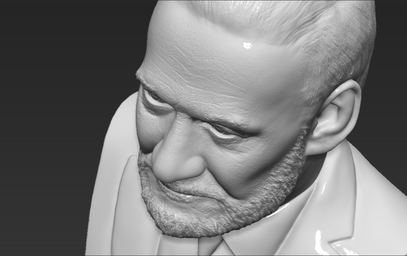 Buzz Aldrin bust 3D printing ready stl obj formats 3D Print 273460