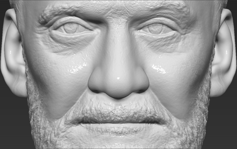 Buzz Aldrin bust 3D printing ready stl obj formats 3D Print 273461