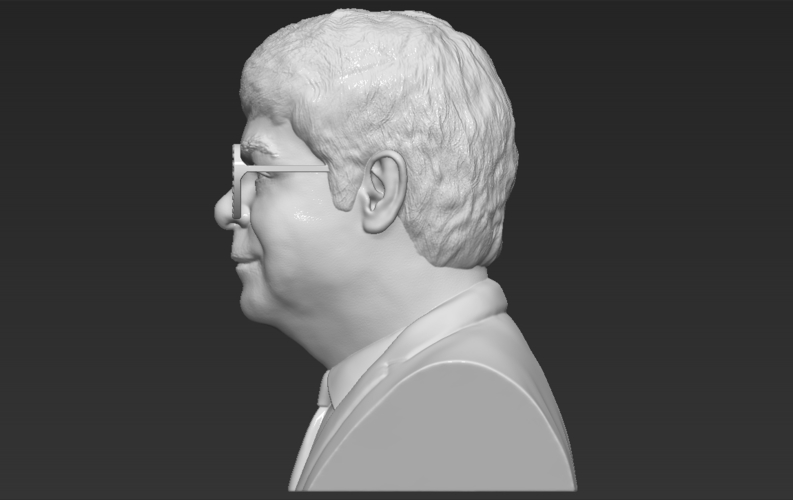 Elton John bust 3D printing ready stl obj 3D Print 273494
