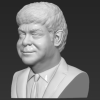 Elton John bust 3D printing ready stl obj - Thumbnail 6