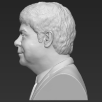 Elton John bust 3D printing ready stl obj - Thumbnail 7