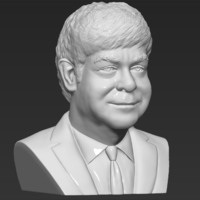 Elton John bust 3D printing ready stl obj - Thumbnail 8