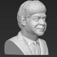 Elton John bust 3D printing ready stl obj - Thumbnail 9