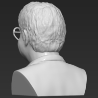 Elton John bust 3D printing ready stl obj - Thumbnail 13