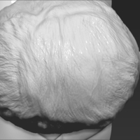 Boris Johnson bust 3D printing ready stl obj formats - Thumbnail 15