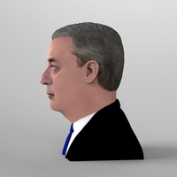 Nigel Farage bust ready for full color 3D printing - Thumbnail 4