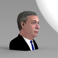 Nigel Farage bust ready for full color 3D printing - Thumbnail 5