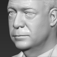 Nigel Farage bust ready for full color 3D printing - Thumbnail 18