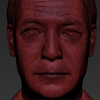 Nigel Farage bust ready for full color 3D printing - Thumbnail 20