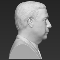 Nigel Farage bust 3D printing ready stl obj formats - Thumbnail 6