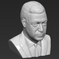 Nigel Farage bust 3D printing ready stl obj formats - Thumbnail 10